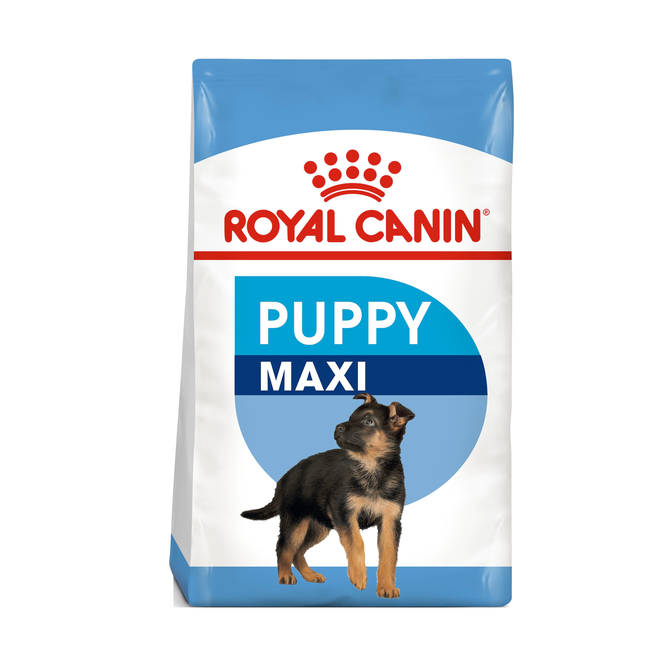 Royal Canin SHN Maxi Puppy 4 KG