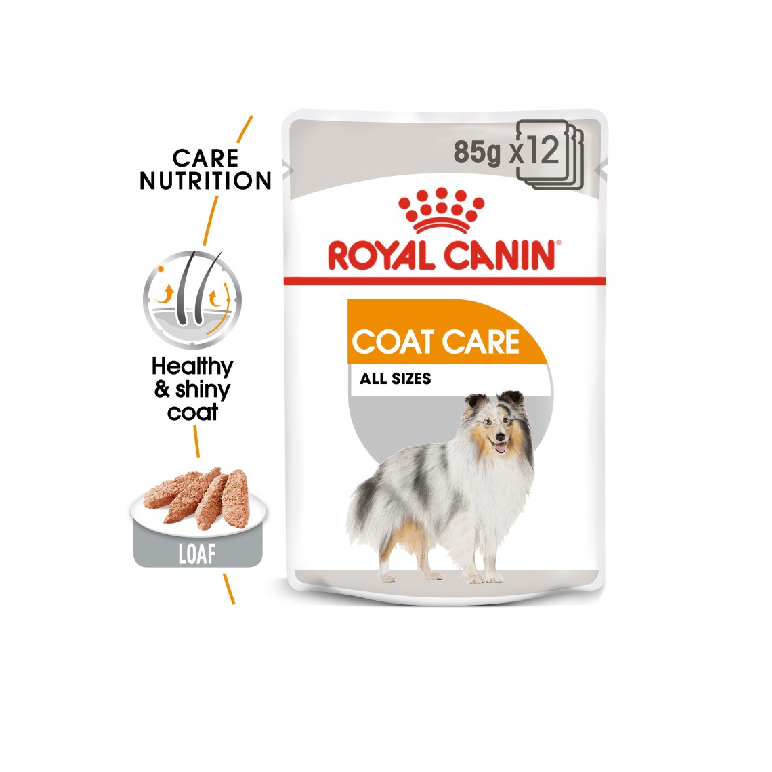 Canine Care Nutrition Coat Care (WET FOOD - Pouches) 85g