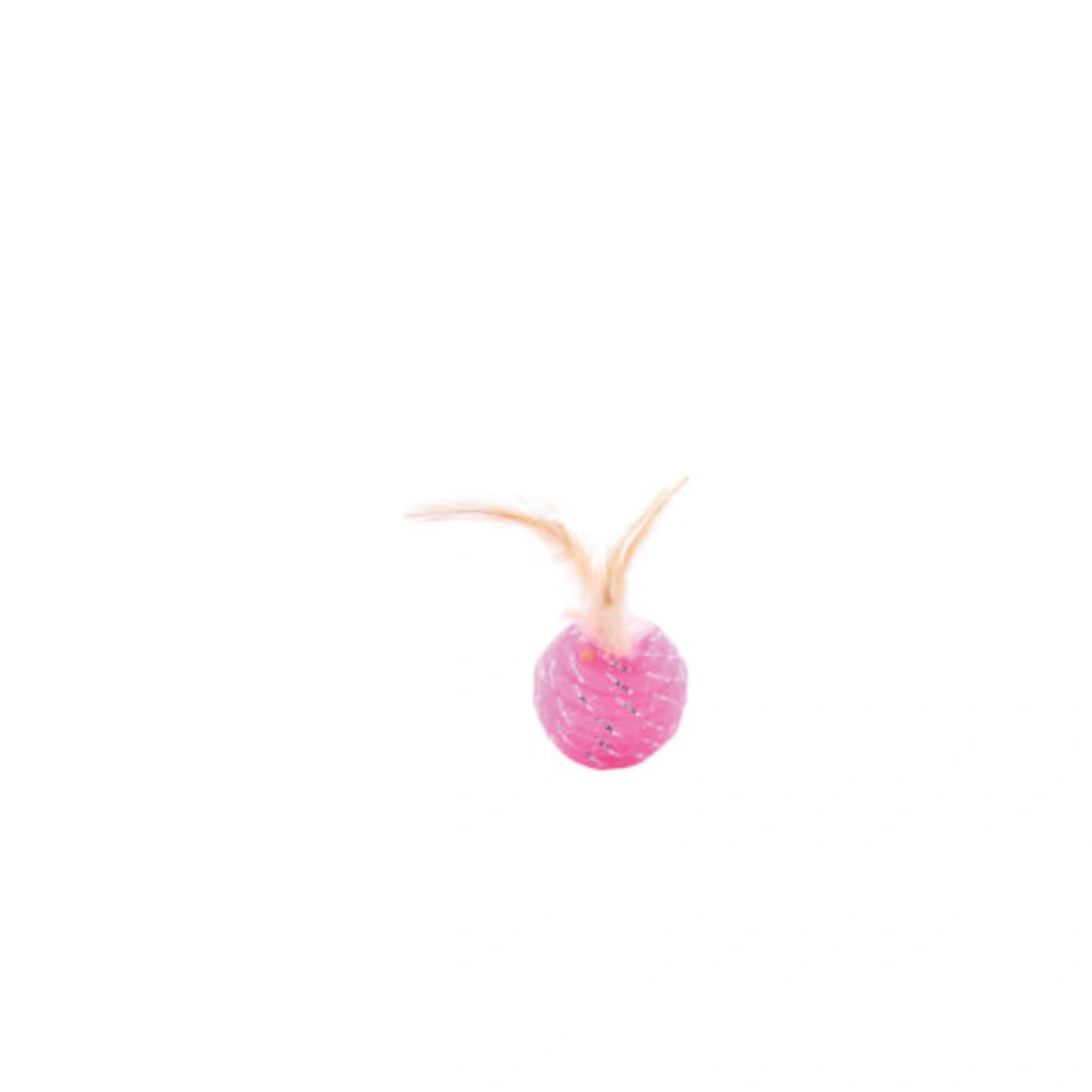 Cat Toy