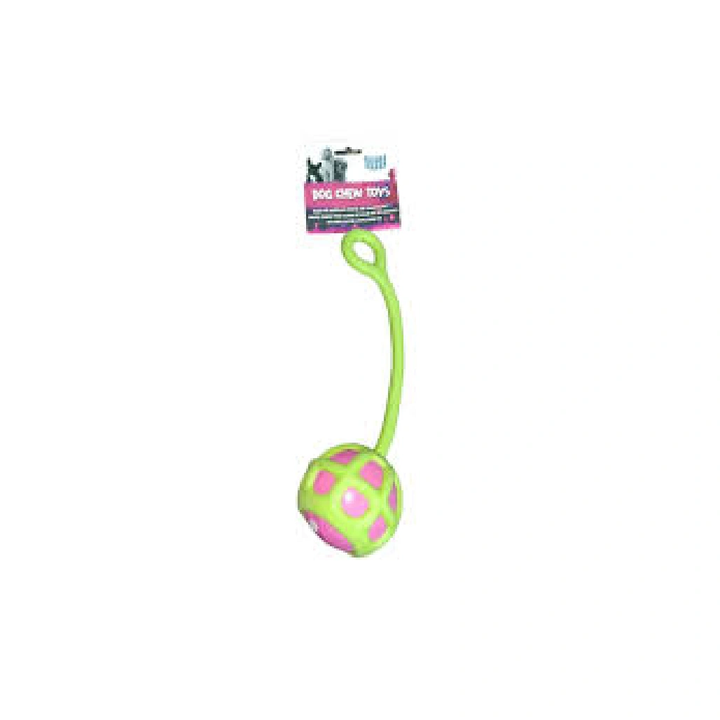 Orgo dog chew toy green