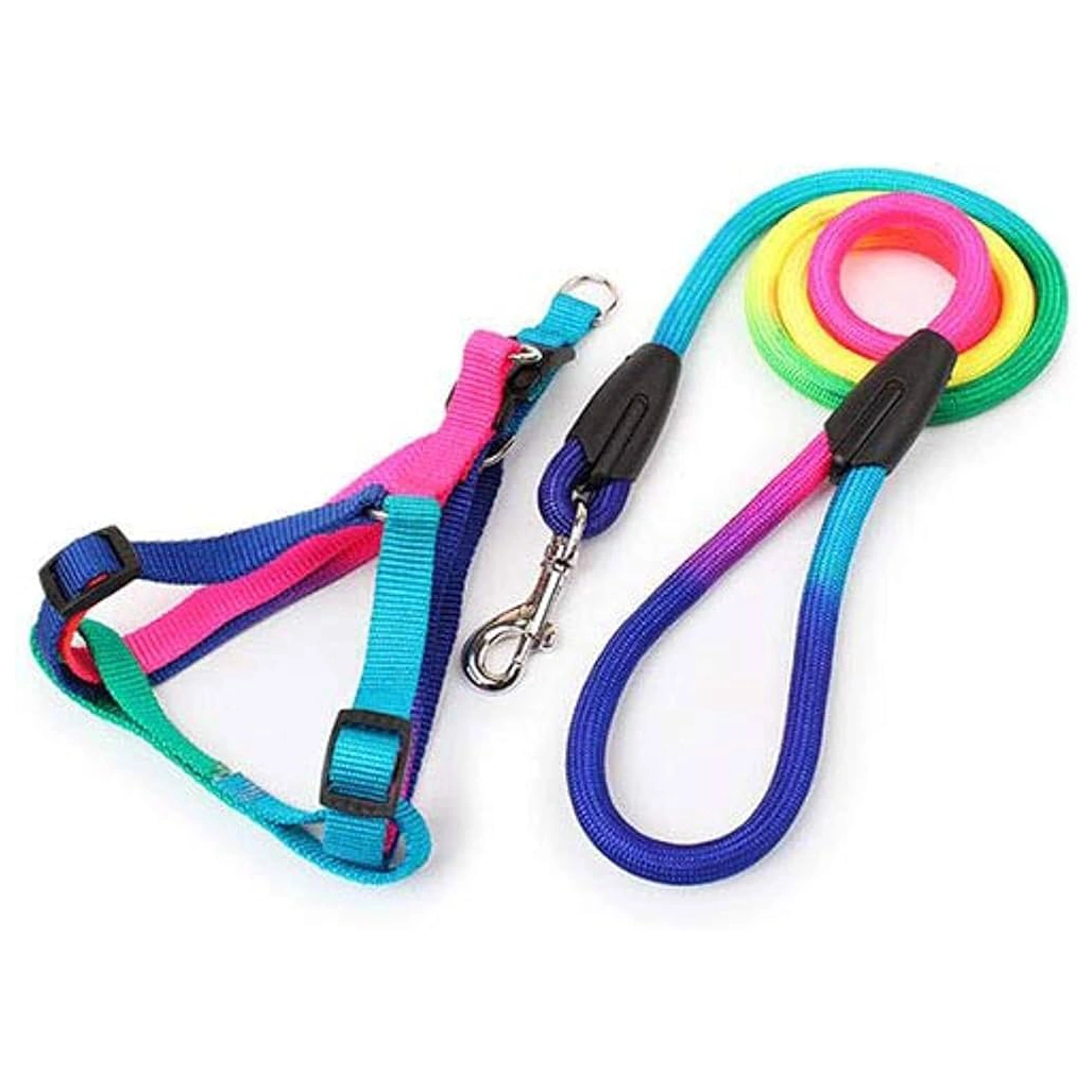 Rainbow Harness Large