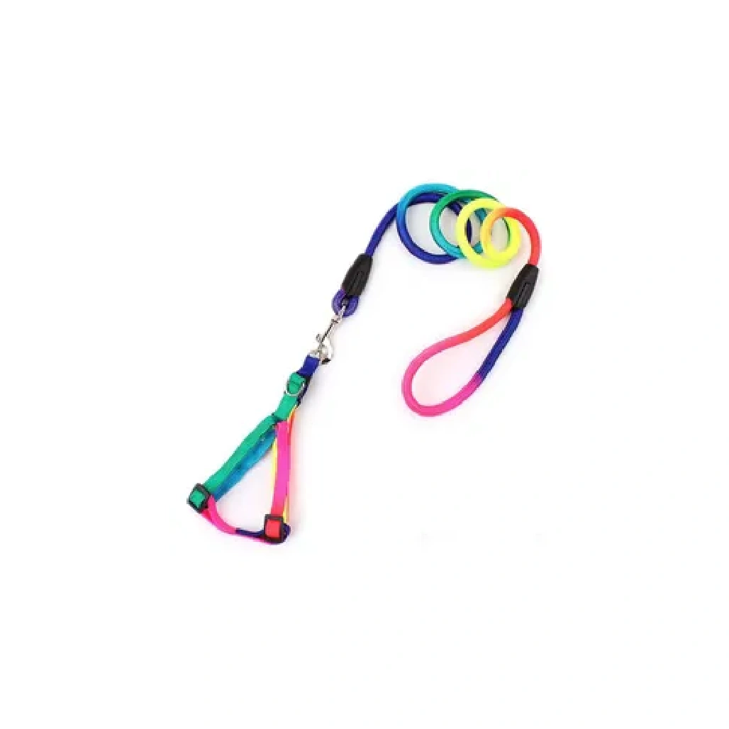 Rainbow Harness Small
