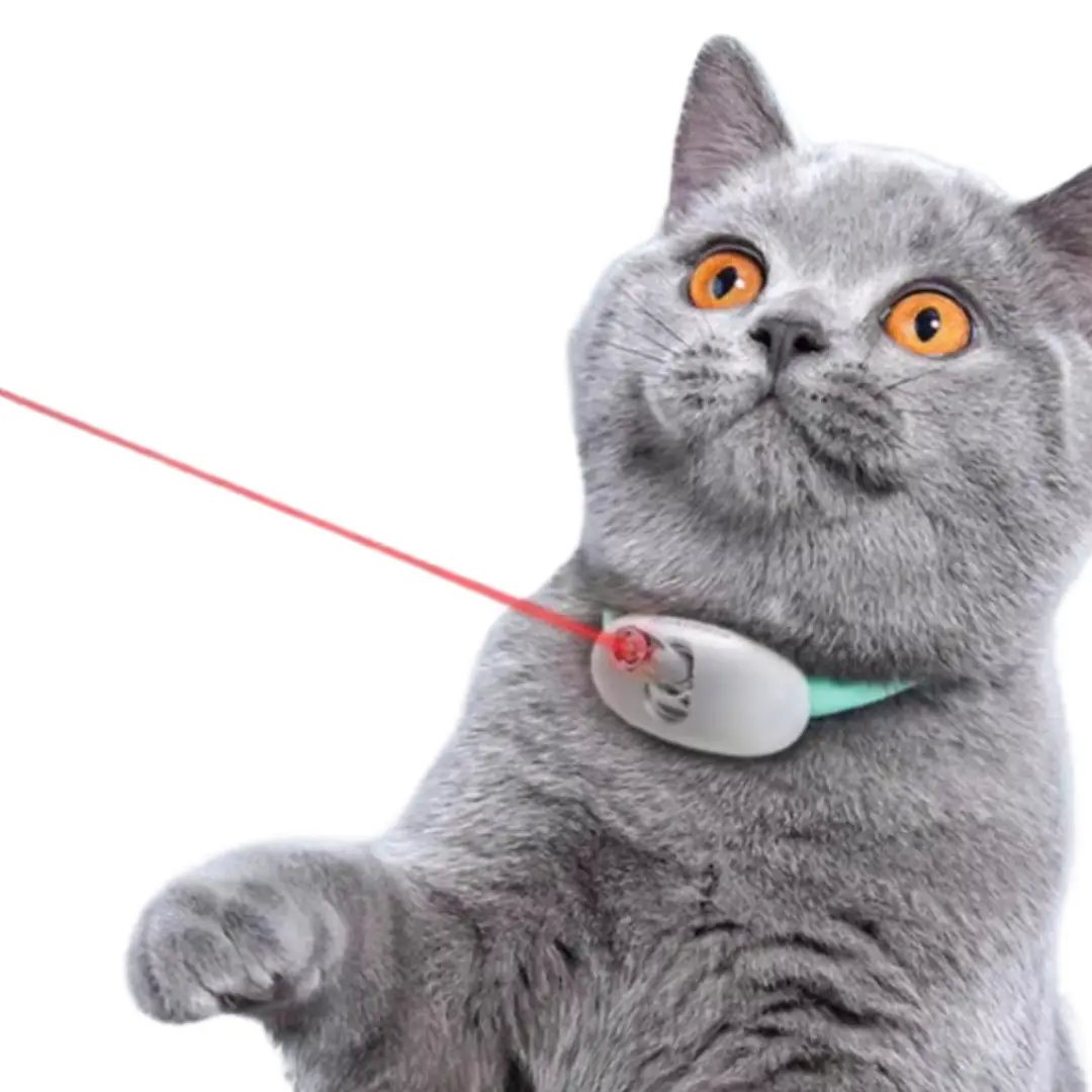 Cat teasing self collar laser toy